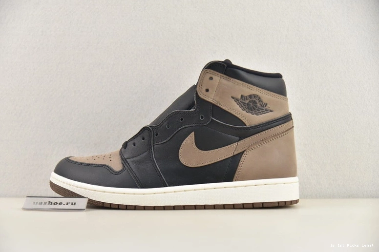 DZ5485-020 OG 1 High Jordan Air "Palomino" 0404